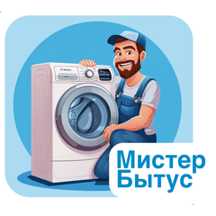 Мистер Бытус