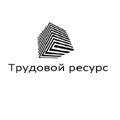 Трудовой ресурс