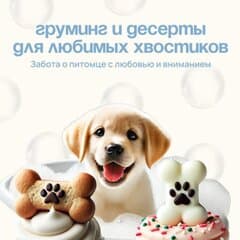 Pets Boutique